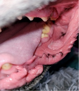 After treatment