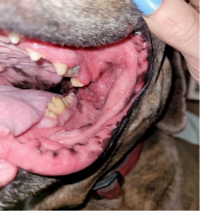 Before treatment